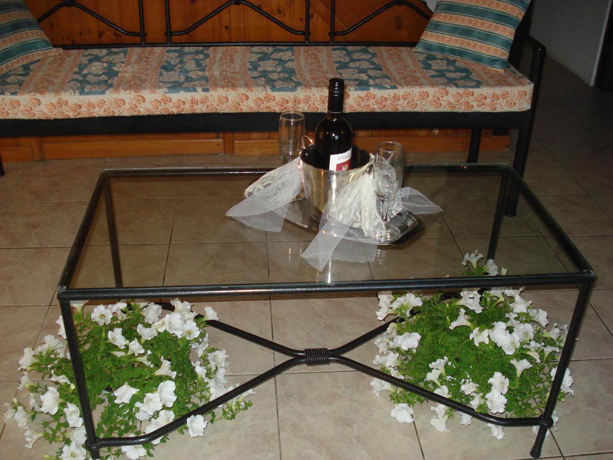 Iron House Apartment Agios Georgios  Exterior photo